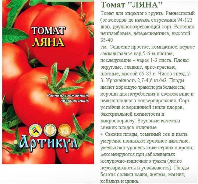 ᐉ томат нужный размер характеристика и описание сорта - ogorod-u-doma.ru