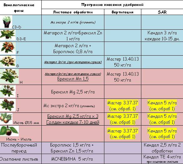 Удобрения для сливы весной и в течение сезона – график подкормок