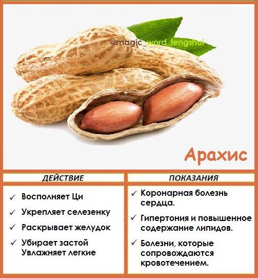 Польза и вред арахиса — 10 свойств для организма человека, а также противопоказания и состав