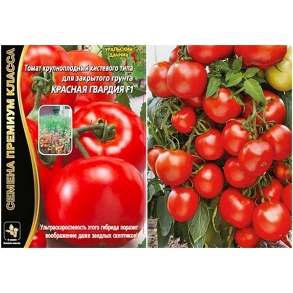 Красная гроздь: описание сорта томата, характеристики помидоров, посев