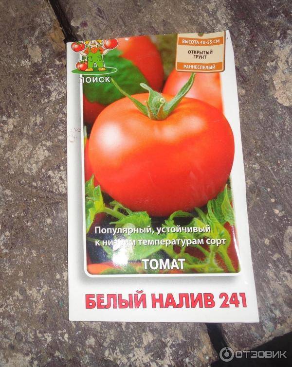 Томат "белый налив": описание сорта, характеристики, урожайность и отзывы :: syl.ru