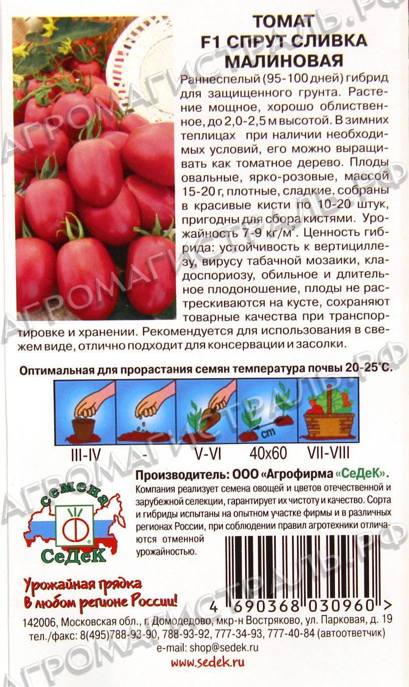 Томат спрут: отзывы (6), фото, урожайность | tomatland.ru