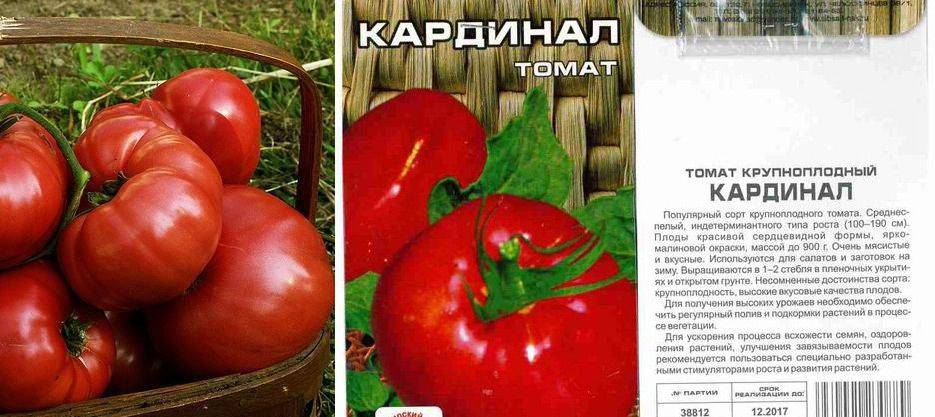 Характеристики, описание и выращивание томата мазарини