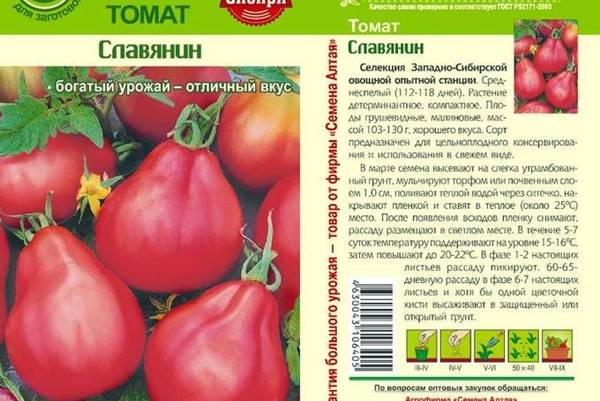 Экзотические редкие плоды — томат мохнатый кейт: подробное описание сорта