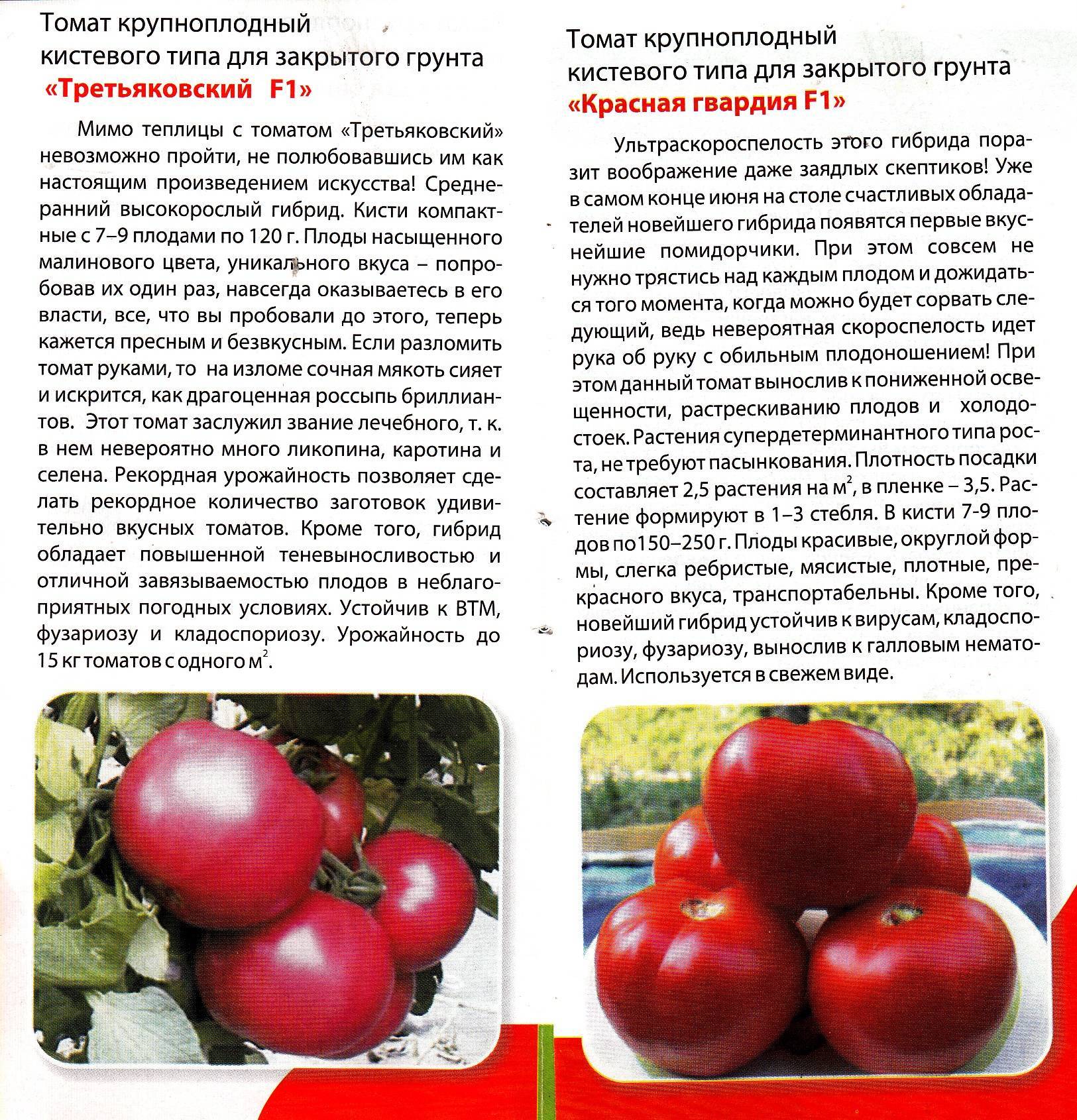 Томат старосельский: характеристика и описание сорта, урожайность с фото