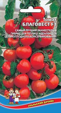 Томат благовест: характеристика и описание сорта, урожайность, отзывы с фото