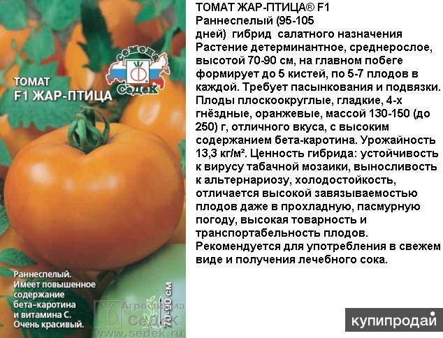 Описание томата императрица f1 и рекомендации по выращиванию сорта