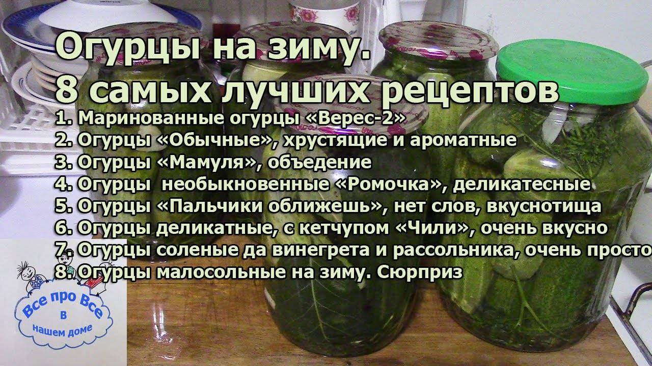 Засолка огурцов в кастрюле: 5 простых рецептов