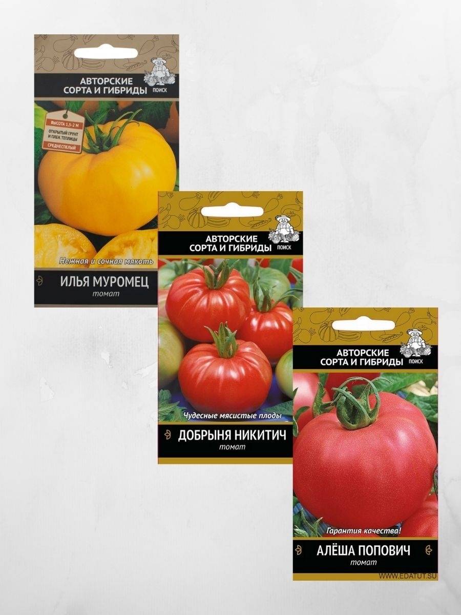 Томат добрыня никитич: характеристика и описание сорта, отзывы тех кто сажал помидоры об их урожайности, фото куста