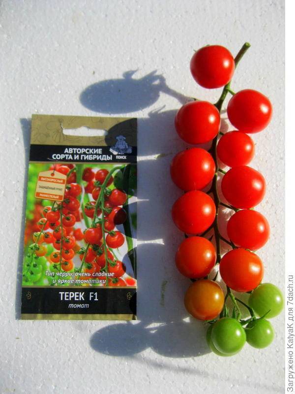 Семена томат коралловый риф f1 10 шт. восточный деликатес, цена: купить в москве в интернет-магазине skladom