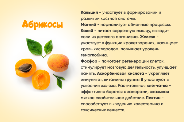 Польза и вред абрикосов для организма человека, свойства и противопоказания