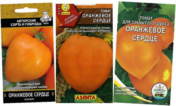 Описание крупного биф-томата оранжевый гигант и особенности выращивания сорта
