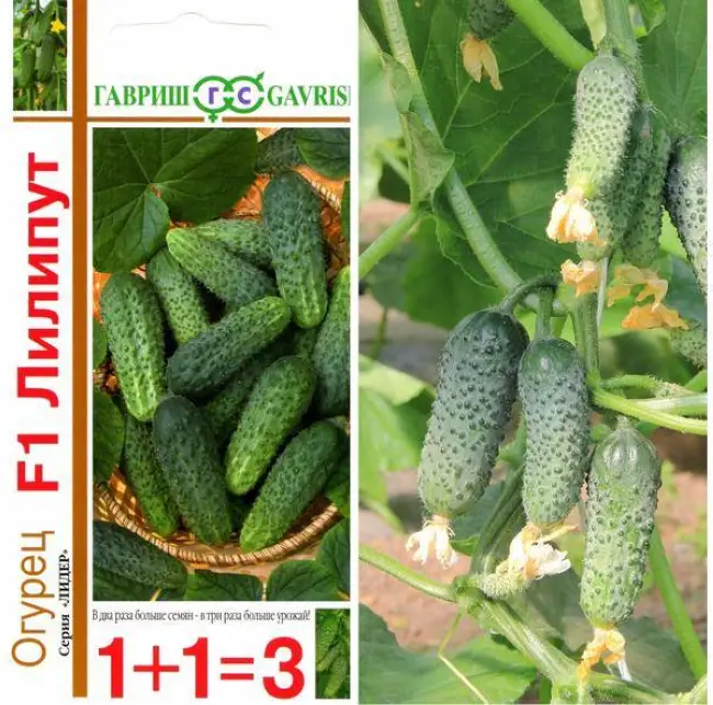 Огурец лилипут f1: отзывы и фотографии, описание и характеристики сорта, урожайность