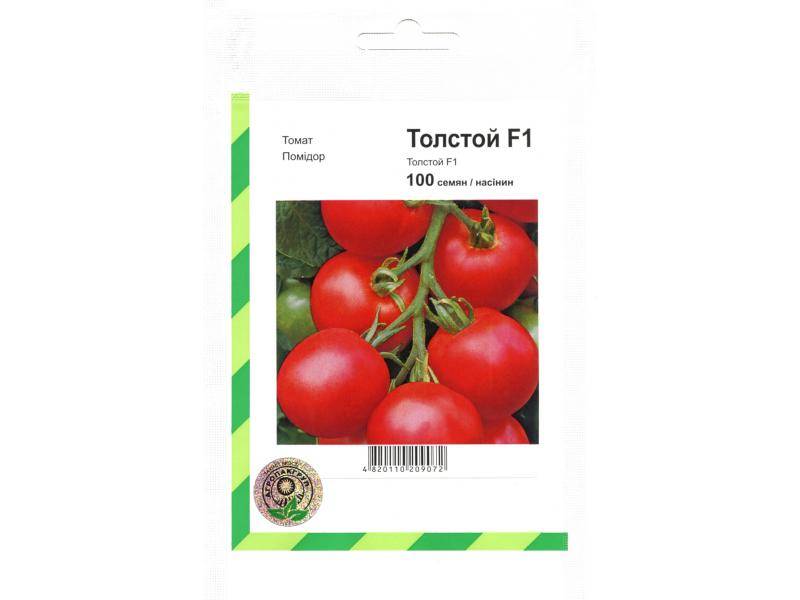 Описание высокорослого помидора толстой, отзывы и фото