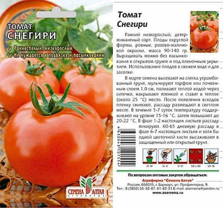 Описание томата грибное лукошко и правила выращивания сорта в теплице