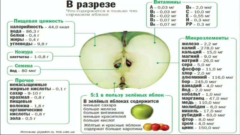 Яблоня гренни смит – 8 особенностей, правила посадки и ухода