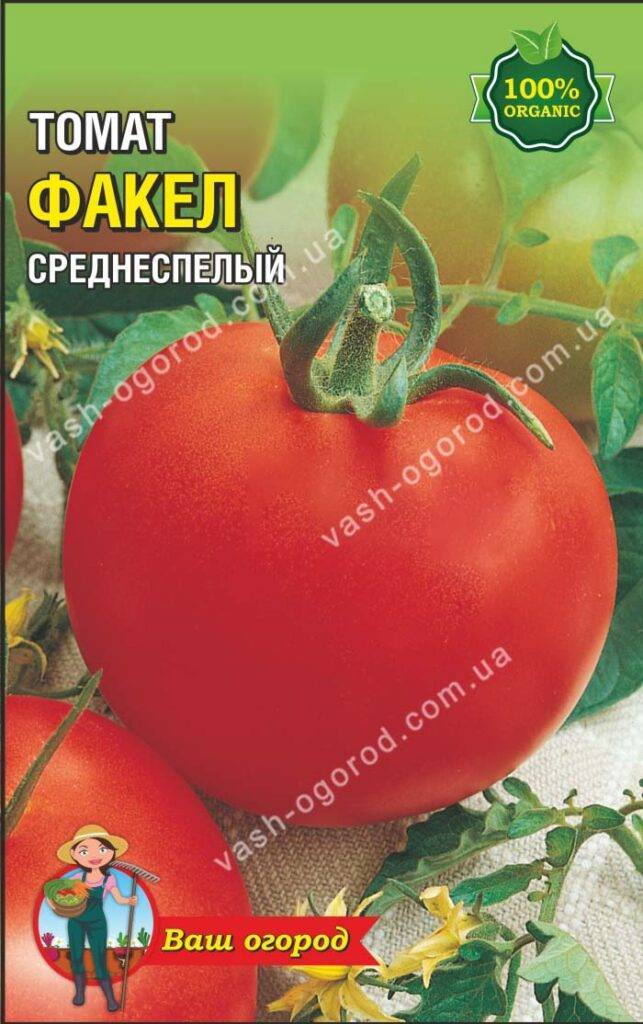 Описание томата Факел и характеристика плодов, выращивание и правила посадки