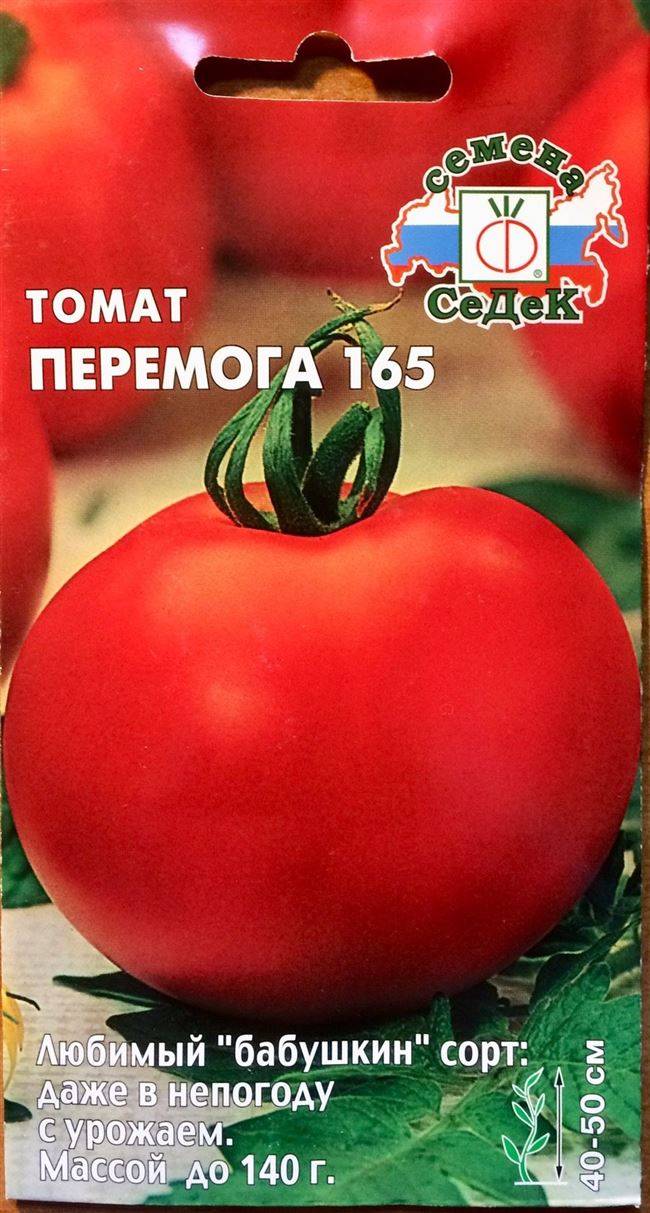 Сорта томатов для теплицы: во высоте куста, по срокам созревания, по форме, размеру и характеристикам плодов, устойчивые к болезням