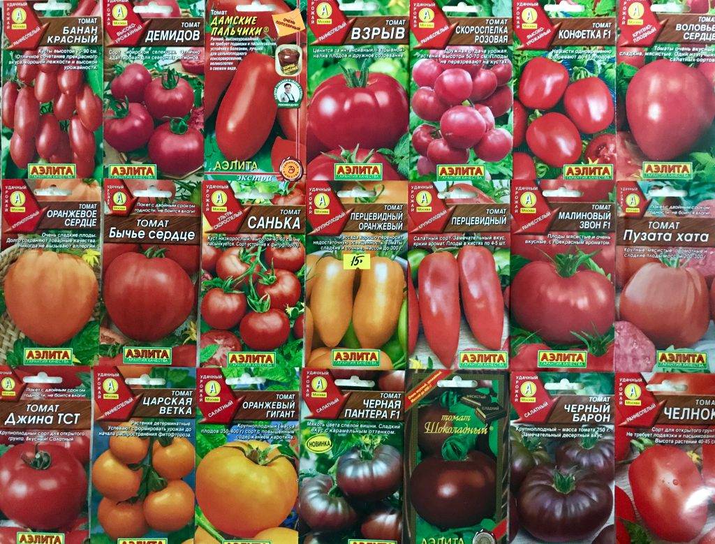 Характеристика и описание сорта томат летний сад