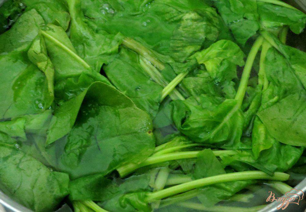 Как сохранить шпинат на зиму – 8 способов хранения
