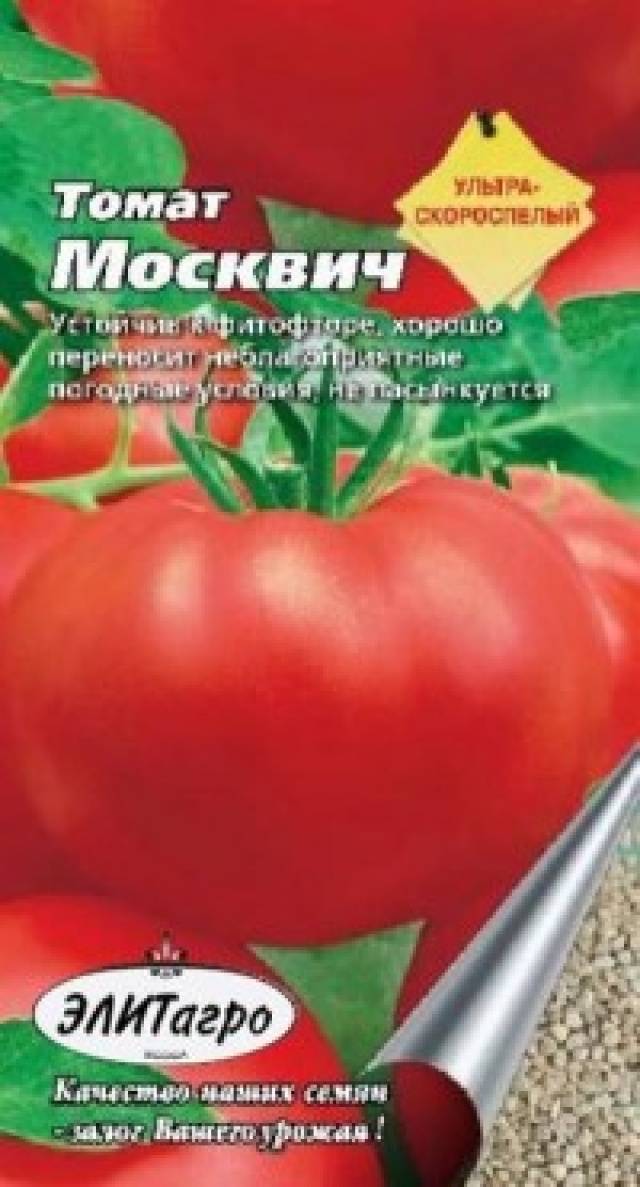 Томат москвич: характеристика и описание сорта, урожайность фото и видео