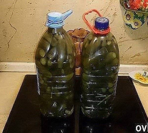 Расскажем, как засолить огурцы в 5 литровой пластиковой бутылке на зиму и как правильно хранить соленые огурчики в пятилитровой таре