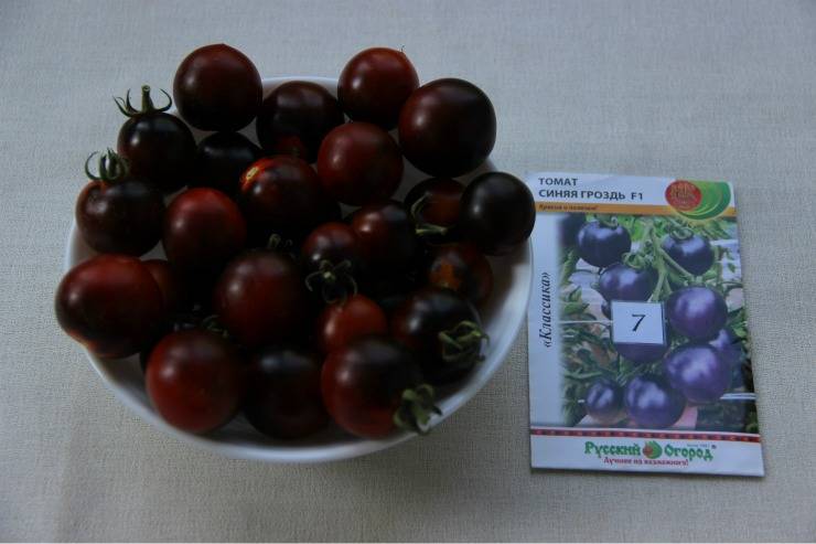 Томат синяя гроздь f1: описание, урожайность сорта, фото, отзывы