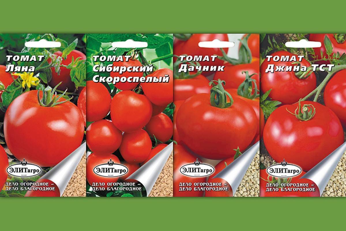 Выбираем лучший сорт ультраскороспелых томатов и получаем богатый урожай максимально быстро
