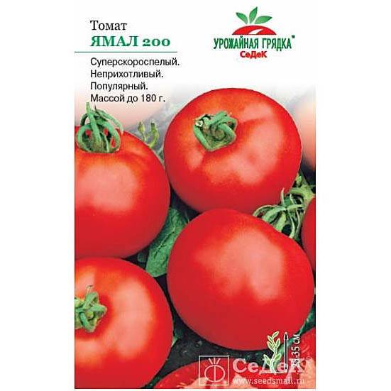 Штамбовый томат «ямал»: описание сорта, особенности агротехники, отзывы