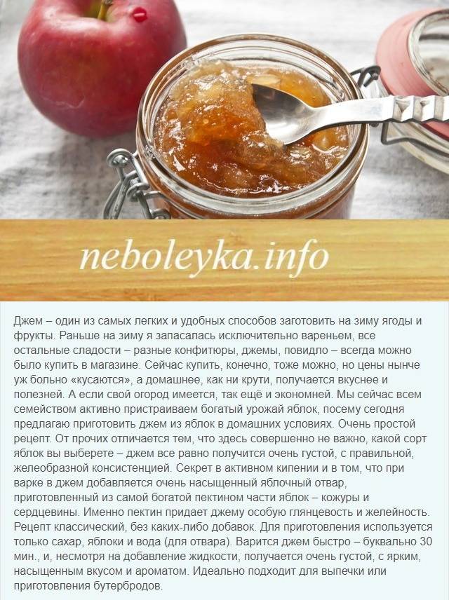 Яблочное пюре: 7 рецептов на зиму
