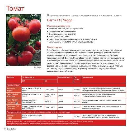 Томат энерго: характеристика и описание сорта, особенности выращивания