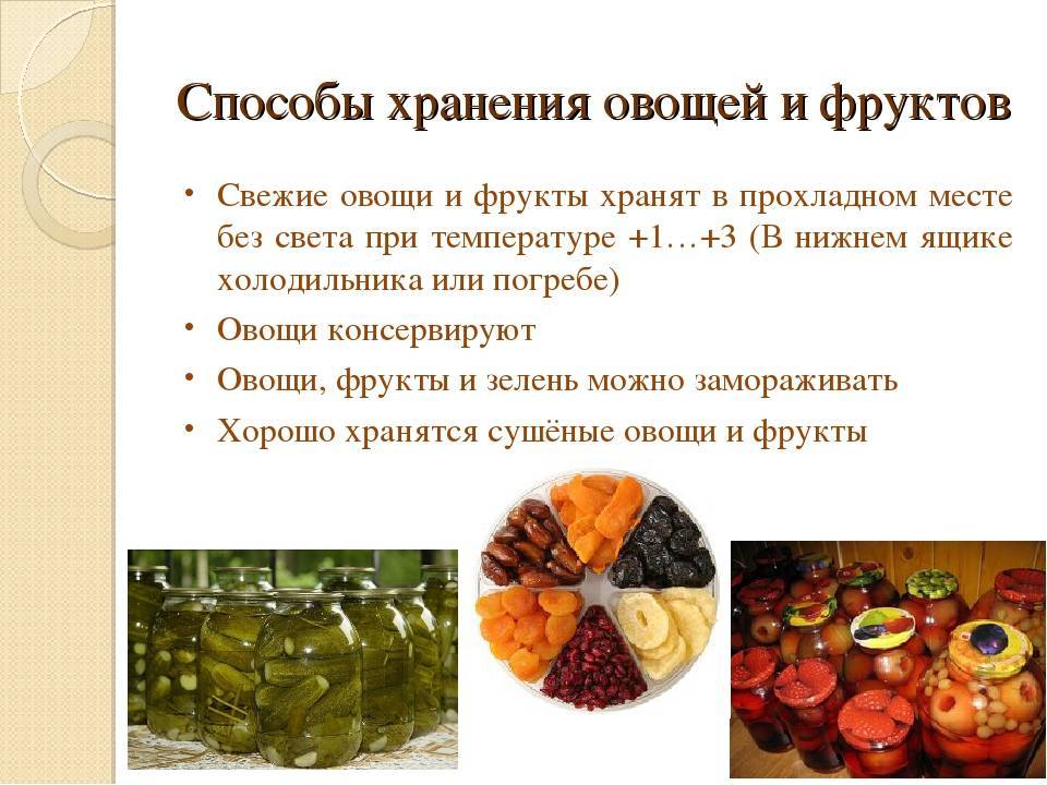 Оливки и маслины: свойства, польза, вред, как хранить, применение в кулинарии