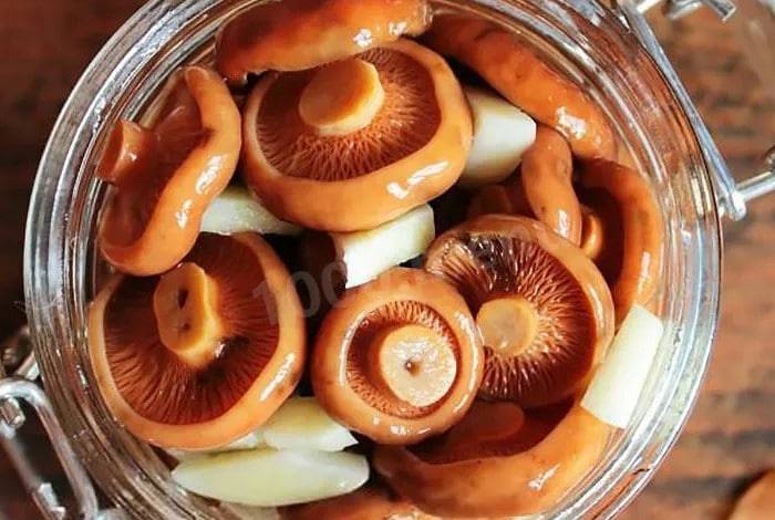 Засолка грибов рыжиков — топ рецептов – грибник-инфо
