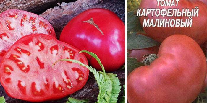 Описание томата картофельный малиновый и агротехника выращивания