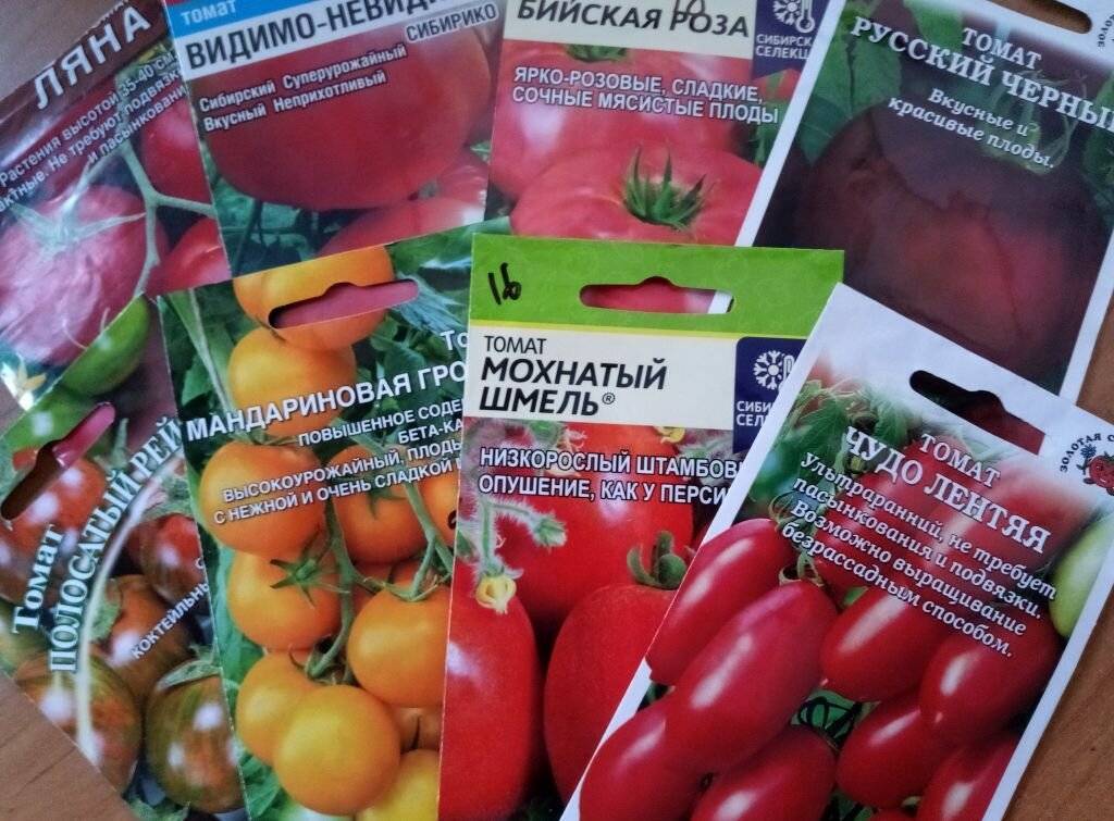 Описание томата Мохнатый Кейт, агротехника культивирования и выращивание сорта