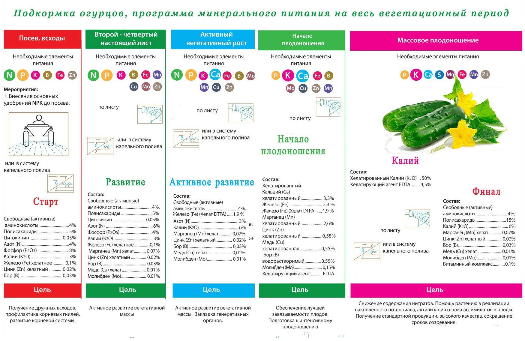 Схема удобрения огурцов в открытом грунте