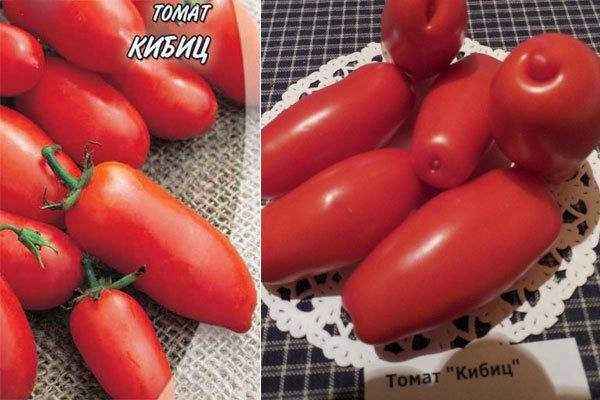 Томат кибиц − описание сорта, фото помидоров, отзывы овощеводов, урожайность, выращивание, видео