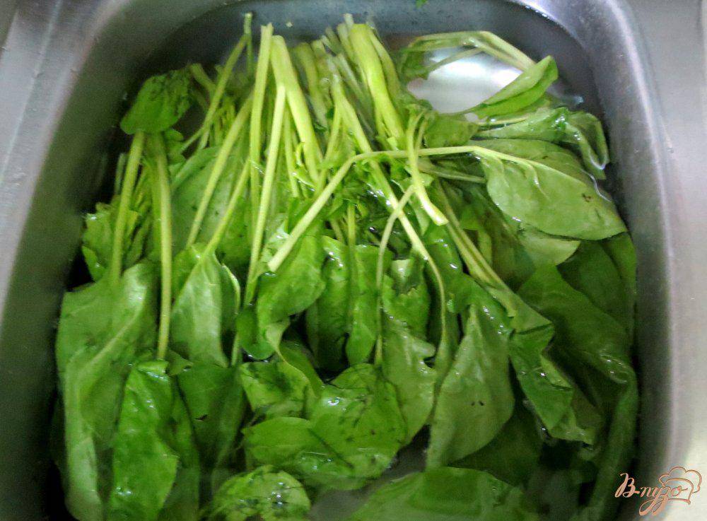 Рецепты салатов из шпината, заготовка на зиму