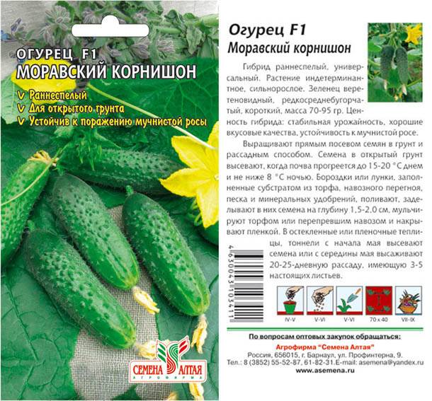 Огурец беттина f1 отзывы, описание и характеристики, урожайность, фото