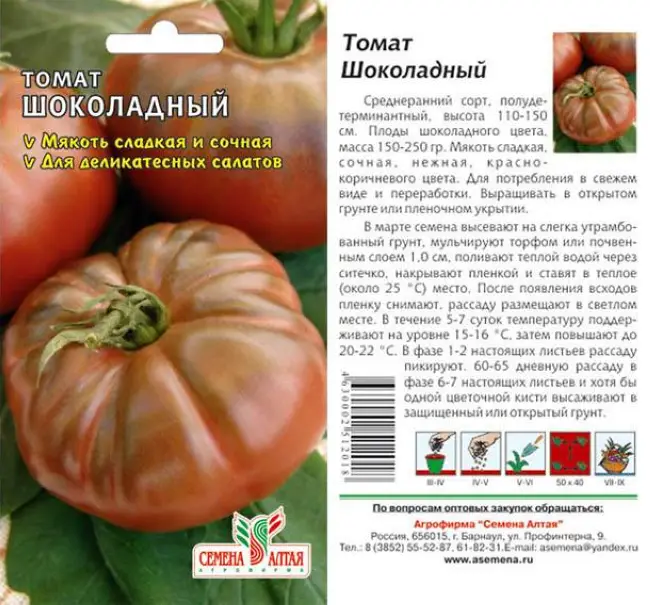 Высокоурожайный томат шоколадный зайчик: описание сорта