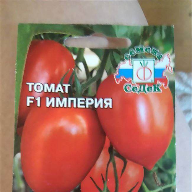 Томат русская империя отзывы фото урожайность