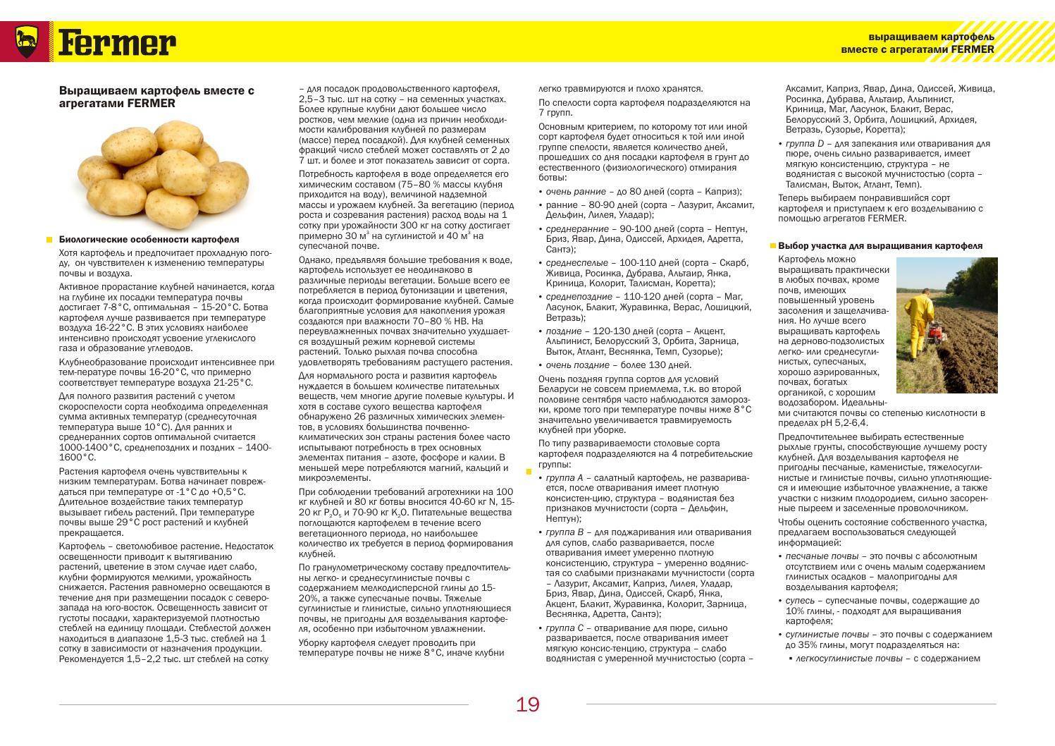Картофель уладар: описание и характеристика сорта, отзывы дачников с фото