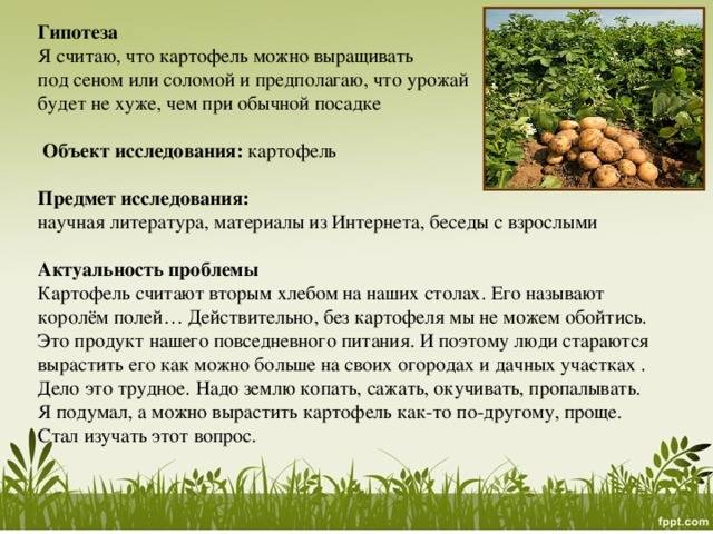 Удобрение картофеля от а до я: чем и как удобрять картошку, правила и сроки подкормок - почва.нет