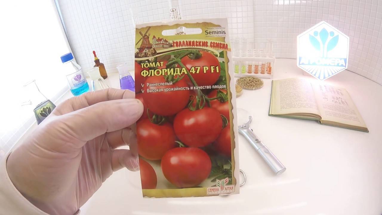 Удивительный томат необычной формы — «аурия» : описание сорта и фото