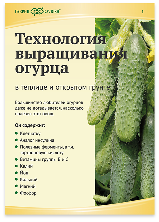 Огурцы кураж f1: описание сорта, выращивание в открытом грунте, уход и защита от вредителей