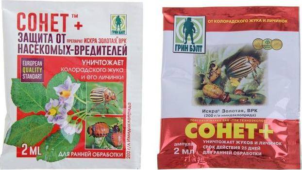ᐉ средство сонет от колорадского жука для картофеля: инструкция - roza-zanoza.ru
