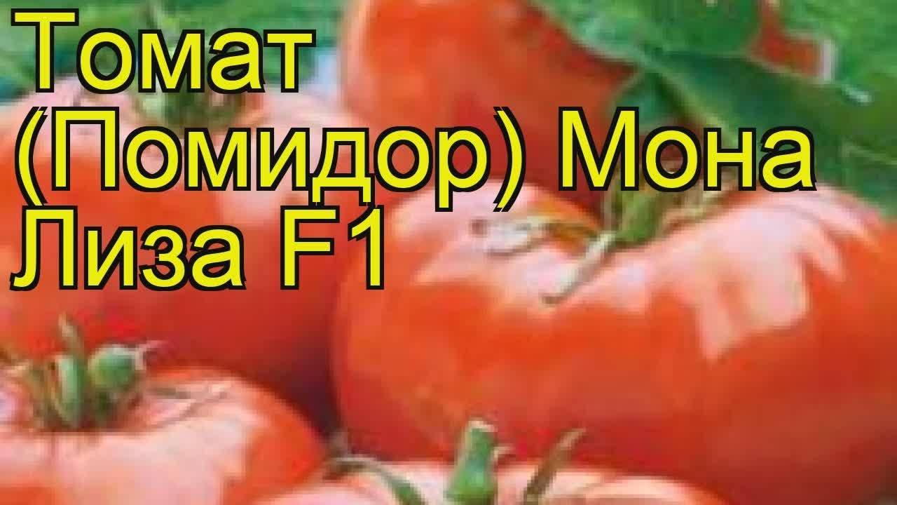 Томат мона лиза характеристика и описание сорта maksiflora.ru