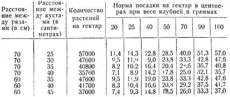 Урожайность картофеля с 1 га в россии и мире – анализ