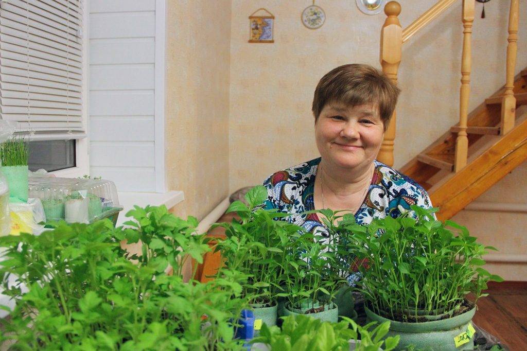Как посадить помидоры в улитку Юлии Миняевой, пошаговое руководство