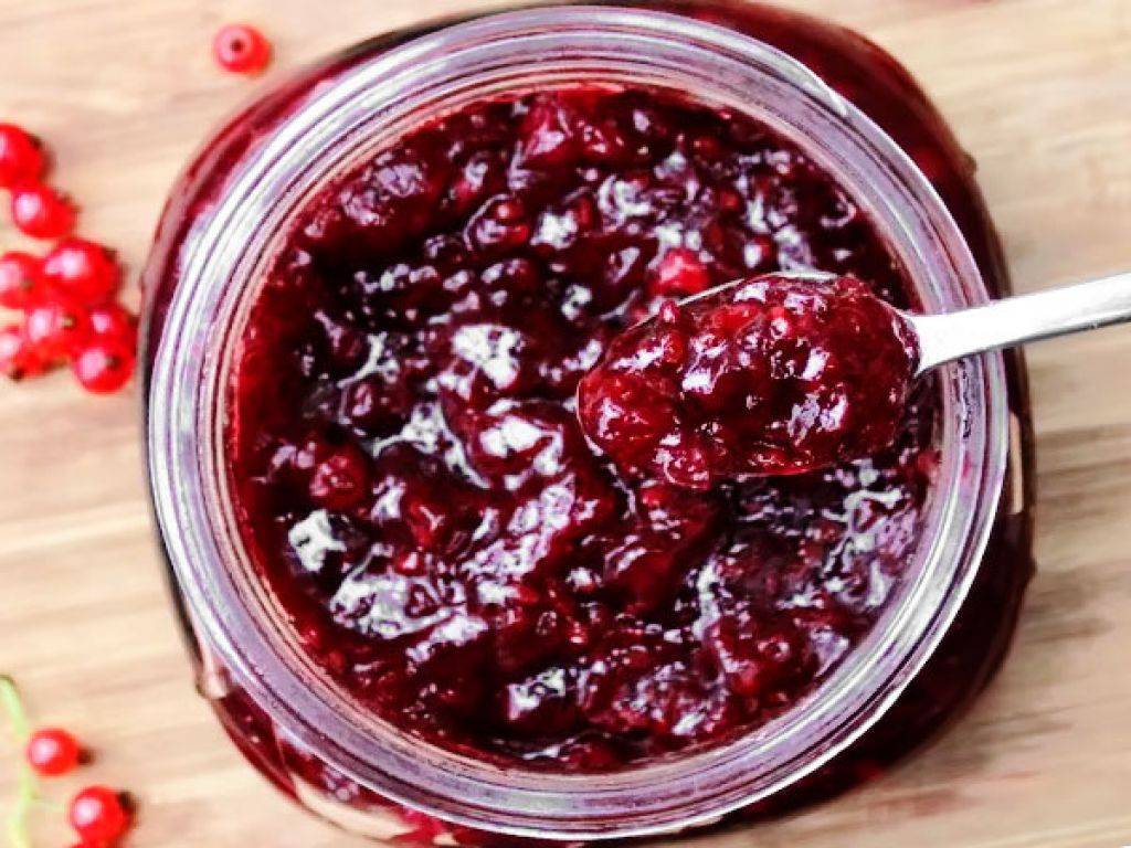 9 простых рецептов приготовления желе из ягод черной смородины на зиму